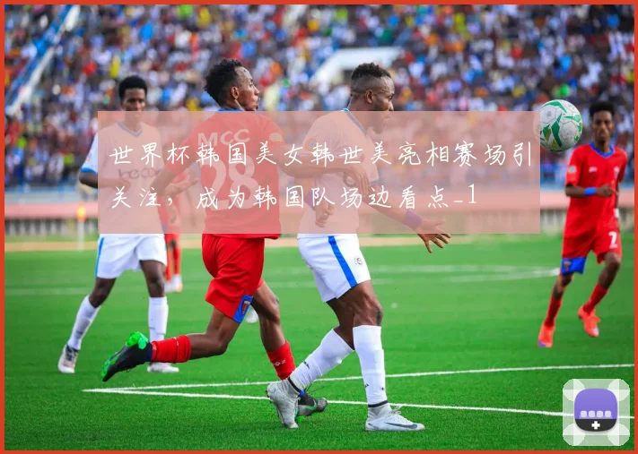 世界杯韩国美女韩世美亮相赛场引关注,成为韩国队场边看点_1